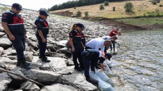 Kırklarelinde 30 bin balık yavrusu göletlere salındı