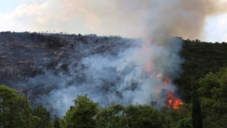 Kocaelide ormanlık alanda çıkan yangına müdahale sürüyor