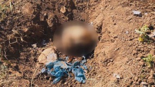 Kocasının öldürüp toprağa gömdüğü kadının cesedini ‘Baron buldu