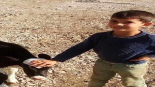 Köpeklerin saldırısında ağır yaralanan çocuk gözlerini açtı