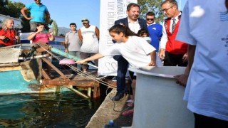 Köyceğiz Gölüne 260 bin sazan bırakıldı