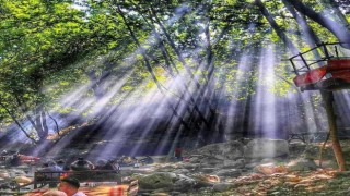 Kozlukta sıcak hava bunaltı, vatandaş soluğu piknik alanında aldı