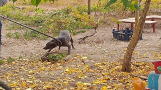 Kurallara uymayanlara 513 bin TL ceza uygulandı