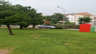 Kuvvetli rüzgar nedeniyle park halindeki otomobilin üzerine ağaç devrildi