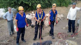 Kuyuya düşen yavru köpek kurtarıldı
