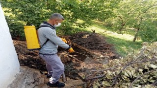 Malatyada ilaçlama çalışmaları sürüyor