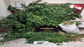 Manisada 1 kilo 784 gram esear yakalandı
