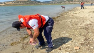 Manisada jandarma kaçak avcılara geçit vermedi