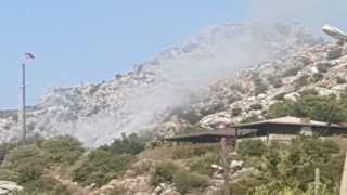 Marmaristeki makilik yangını kontrol altına alındı