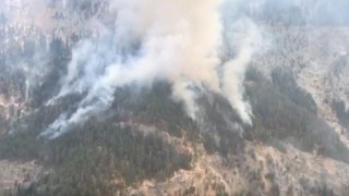 Mersindeki orman yangınına müdahale ediliyor
