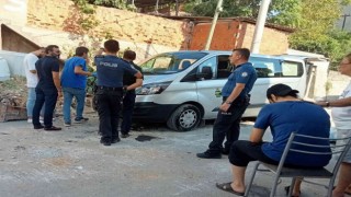 Meyve toplamak için çıktığı ağaçtan düşen kadın hayatını kaybetti