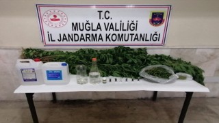 Milasta kaçak içki, kenevir ve uyuşturucu madde ele geçirildi