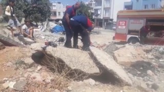 Molozların arasında sıkışan köpek kurtarıldı
