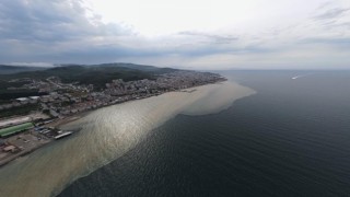 Mudanya Sahili çamura boyandı