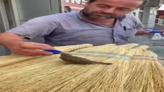 Muhtar susayan kuşa şişe kapağıyla su içirdi