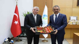 Müjdeyi bakan verdi: Sakaryada tarım alanını seçen öğrencilere 500 TL burs
