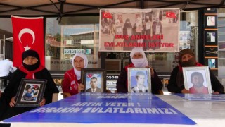 Muşta annelerin evlat nöbeti 71. haftaya girdi