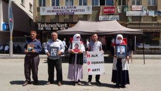 Muşta annelerin evlat nöbeti devam ediyor