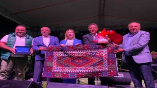 Mustafa Yıldızdoğan, AK Parti Muğla Milletvekili Gökcanı övdü