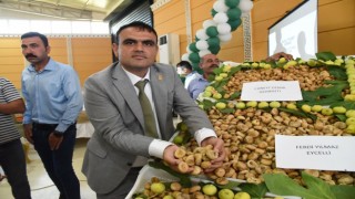 Nazillide sezonun ilk kuru inciri kilosu 400 TLden satıldı