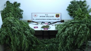 Nazillide uyuşturucu operasyonu