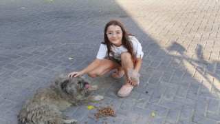 Öğrencilerin harçlıkları can dostlara mama oldu