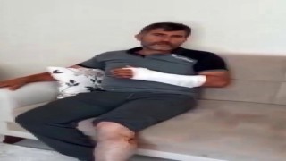 Öldüğü sandığı ayı saldırdı güreşerek hayatta kaldı