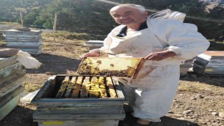Ömrünü Arıcılığa adamış üretici bu yılki verimden ümitli