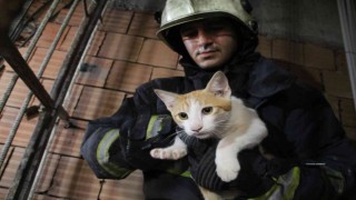 Önce kurtarıldı, sonra kapı kapı sahibi arandı
