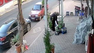 Önce suladı sonra kökünden sökerek çaldı