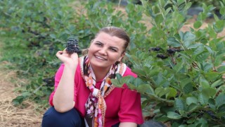Onun adı süper meyve, faydaları saymakla bitmiyor