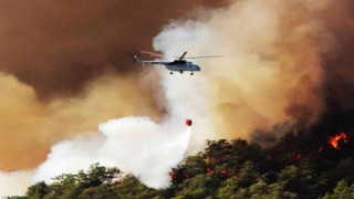 “Orman yangınlarının yüzde 87si insan kaynaklı”