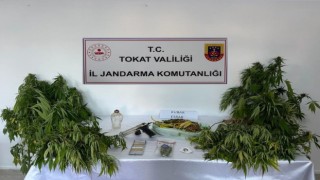Ormana ekti, yakayı ele verdi