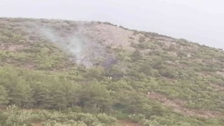 Ormanlık alana düşen yıldırım yangın çıkardı