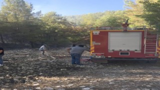 Ormanlık alanda çıkan yangın korkuttu