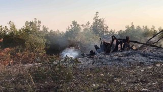 Ormanlık alandaki örtü yangını büyümeden söndürüldü