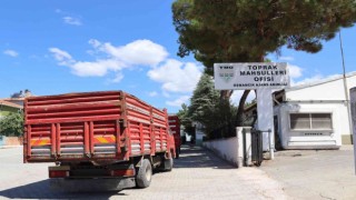 Osmancık TMO hububat alımında rekor kırıyor