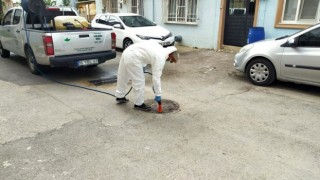 Osmangazide ilaçlama çalışmaları sürüyor