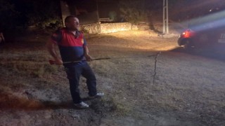 Osmaniyede eve giren yılanı itfaiye yakaladı