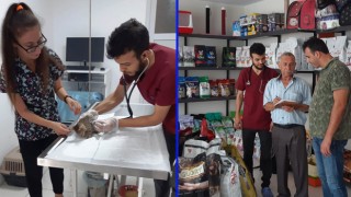 Osmaniye'de Sokak hayvanları için Veteriner klinikleri nöbette!