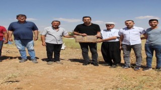 Osmaniyeden Darendeye Arıcılık göçü