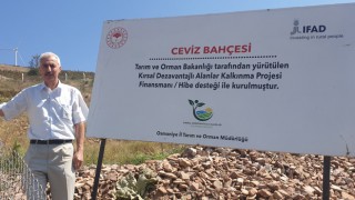 Osmaniye'nin Bahçe İlçesi’nde yüzde 70 hibe destekli ceviz bahçesi kuruldu