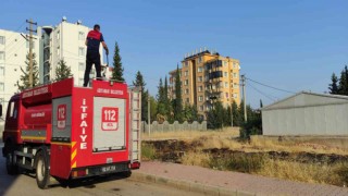 Ot yangını ikametlere sıçramadan söndürüldü