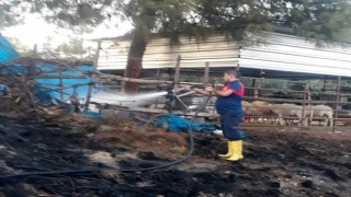 Otluk alanda çıkan yangın ağıla ulaşmadan söndürüldü
