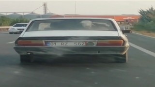 Otomobilin arka koltuğunda buzağı taşıdılar