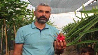 (ÖZEL) Bu meyveyi yetişmek için serasına kamera sistemi ve soba kurdu