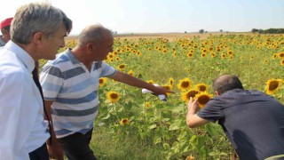 (ÖZEL) DPÜ üretim seferberliği başlattı