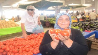 (ÖZEL) Salçalık domates ve biber sezonu başladı