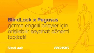 Pegasustan görme engelli bireyler için kapsayıcı ve engelsiz online deneyim