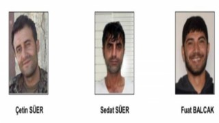 PKKdan ayrılmak isteyen örgüt mensupları infaz ediliyor